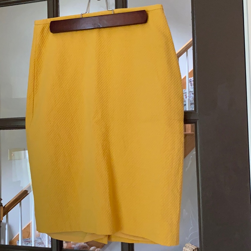 The Limited size 0 skirt.